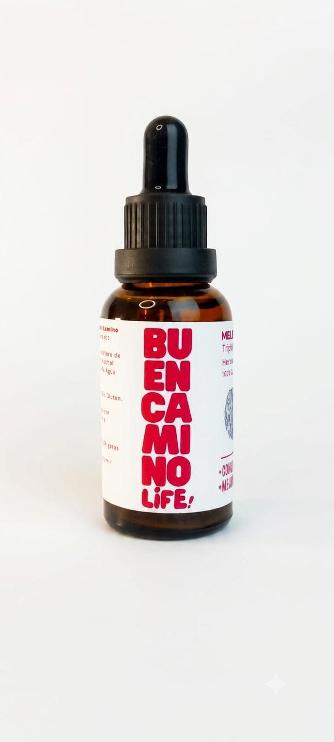 Melena de León - Beneficios para la memoria y salud digestiva