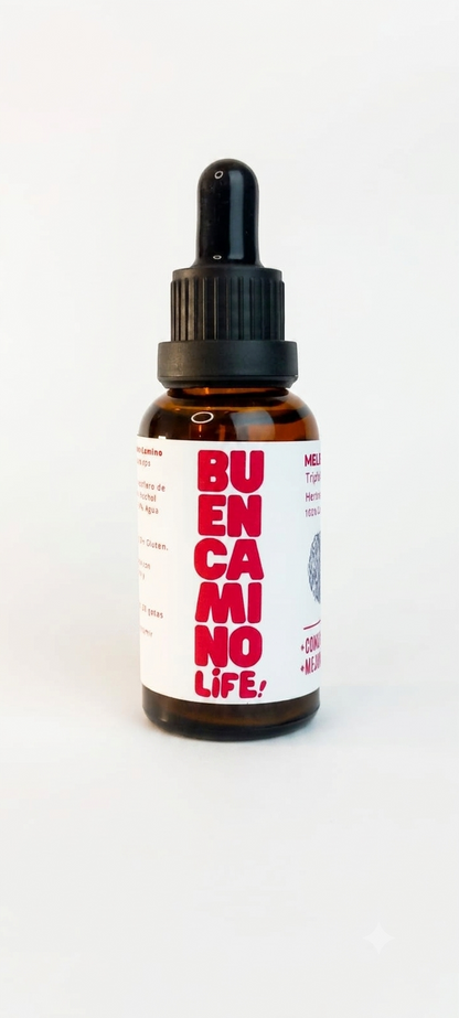 Melena de León - Beneficios para la memoria y salud digestiva