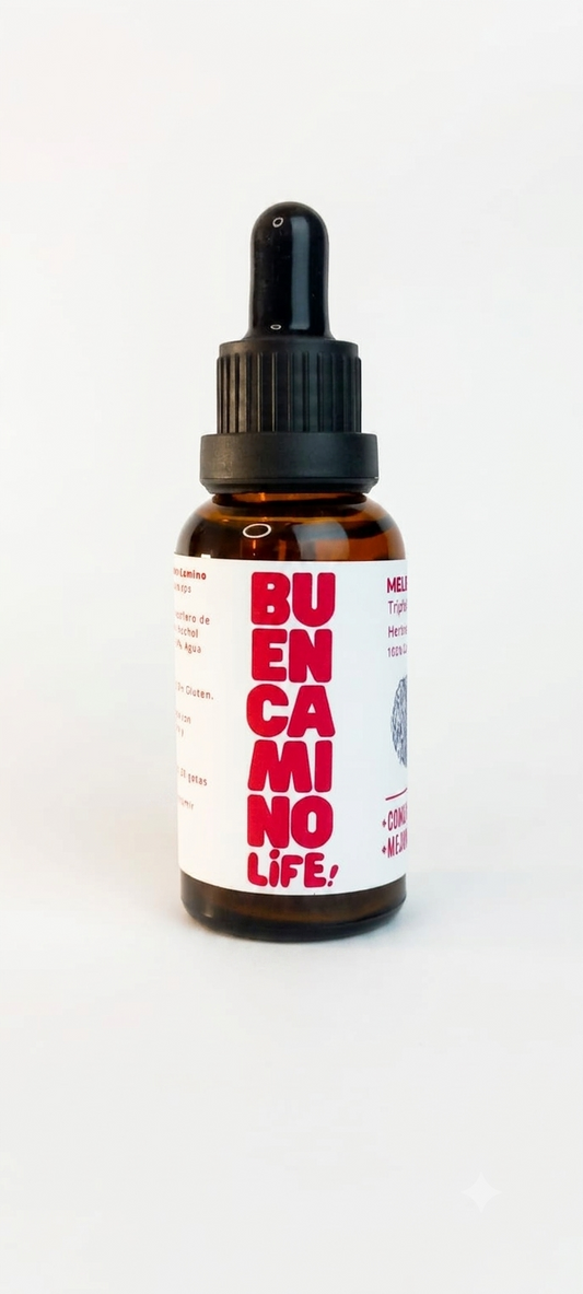 Melena de León - Beneficios para la memoria y salud digestiva