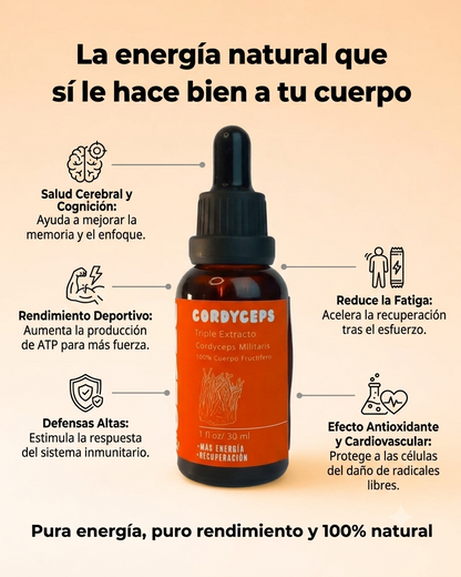 Cordyceps - Beneficios energía y rendimiento natural