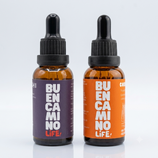 Pack Reishi + Cordyceps - Buen Camino Life