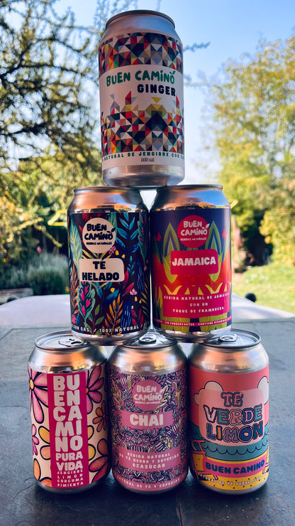 Pack Variedades Sin Azúcar | 4 variedades Mix | Latas 355ml