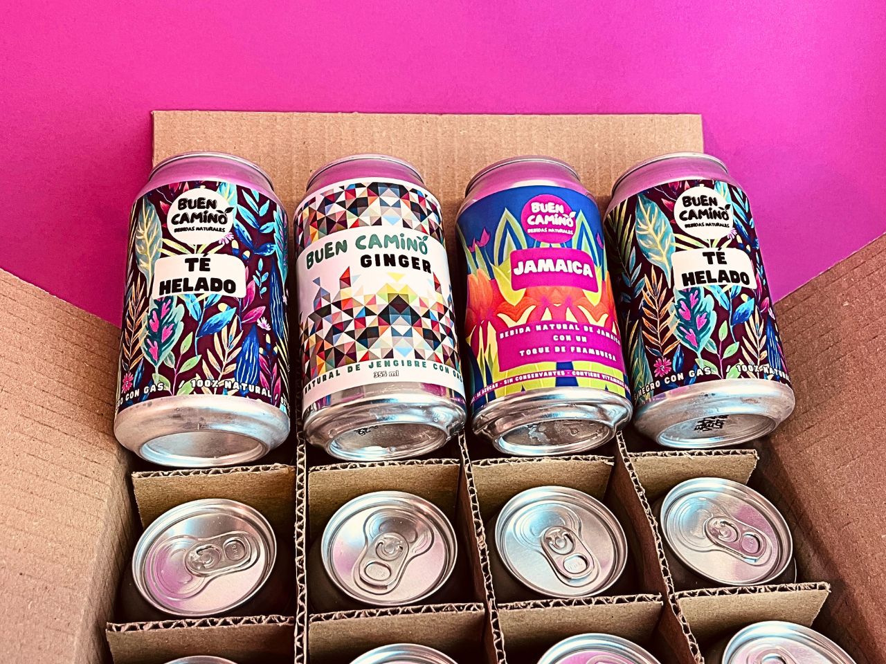 Pack Variedades Sin Azúcar | 4 variedades Mix | Latas 355ml
