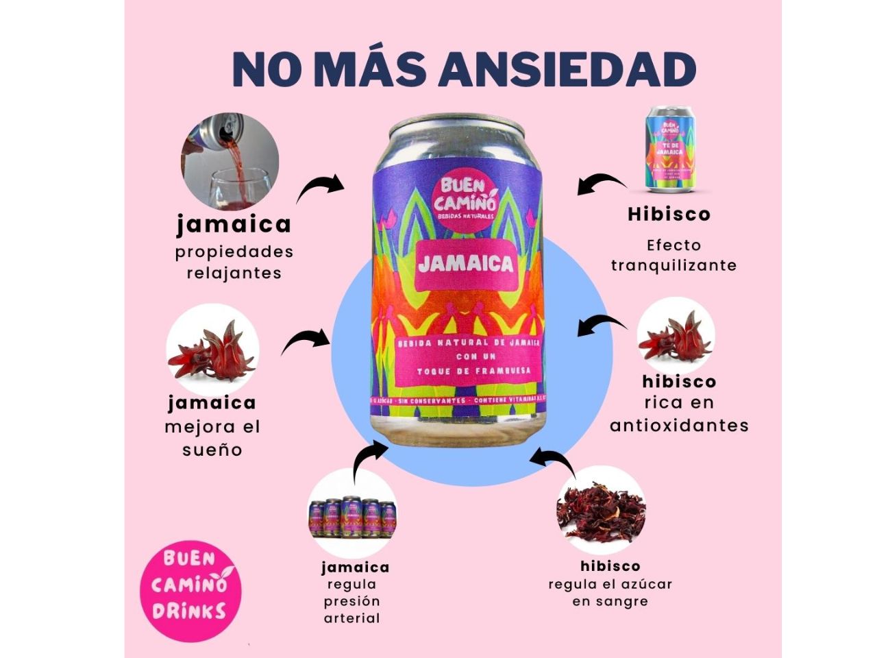 PREVENTA Jamaica/Hibisco Frambuesa Sin Azúcar | Bebida Gasificada | Pack Latas 355ml