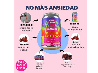 PREVENTA Jamaica/Hibisco Frambuesa Sin Azúcar | Bebida Gasificada | Pack Latas 355ml