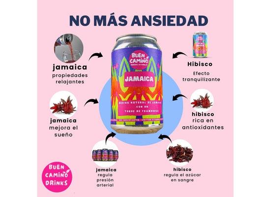 Jamaica Frambuesa Sin Azúcar | Pack Latas 355 ml