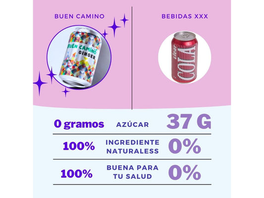 Ginger Sin Azúcar | Pack Latas 355 ml